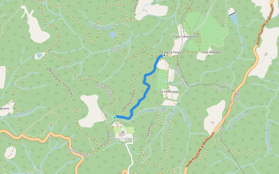 Trekking tra i castelli 7D (COLTIBUONO) walking route map in Badia Coltibuono