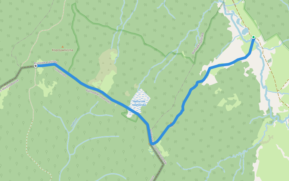 Koprzywniczna - Jasiel walking route map in Jasiel