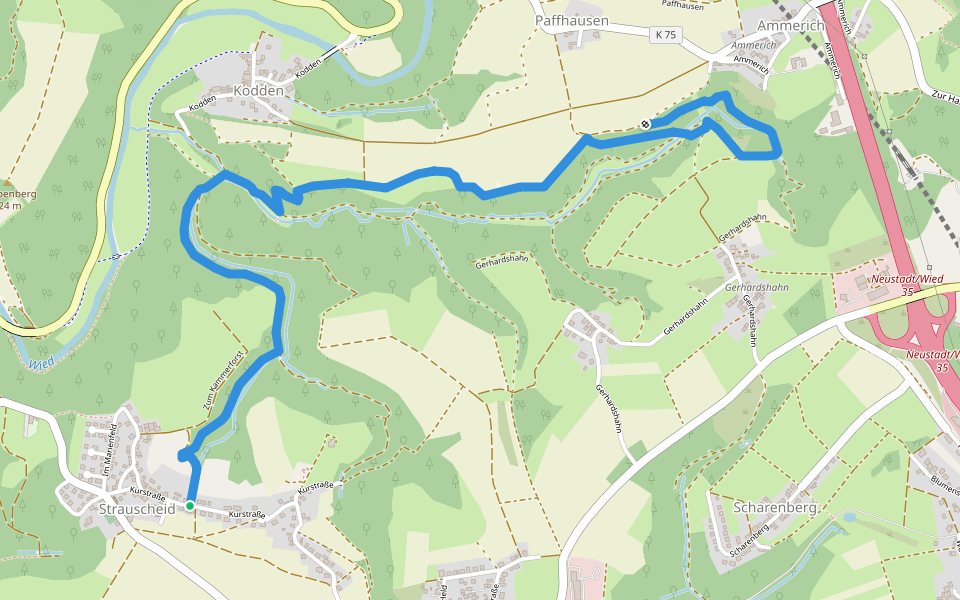 Route Strauscheid 1a Nordic Walking Neustadt (Wied) walking route map in Neustadt (Wied)