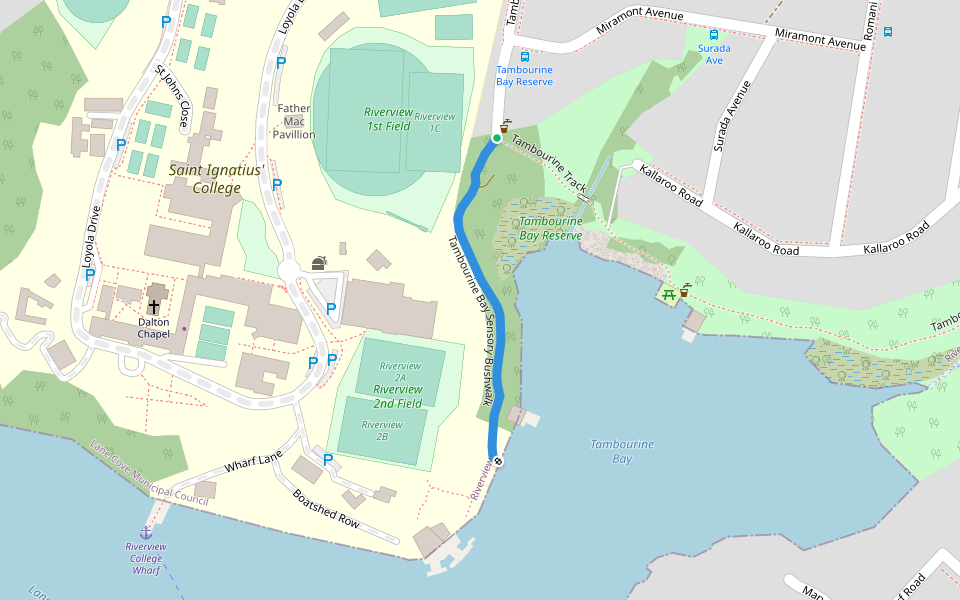 Tambourine Bay Sensory Bushwalk Trail Riverview, New South Wales Pacer