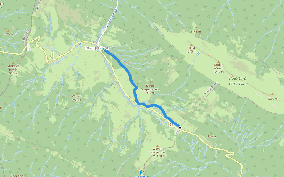 Ścieżka dendrologiczno-historyczna Berehy Górne "Dzika jabłoń" walking route map in Brzegi Górne