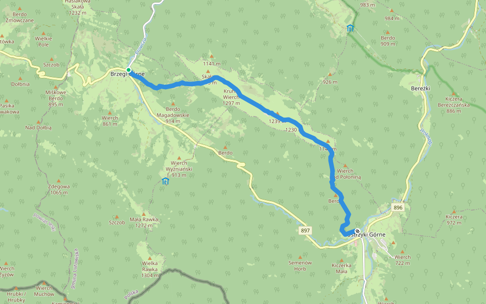 Ścieżka przyrodnicza Połonina Caryńska "Buk zwyczajny" walking route map in Brzegi Górne