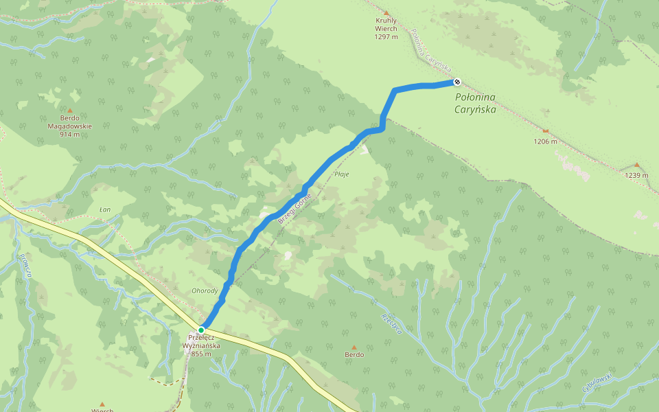 Ścieżka przyrodnicza Połonina Caryńska "Buk zwyczajny" (wariant A) walking route map in Brzegi Górne