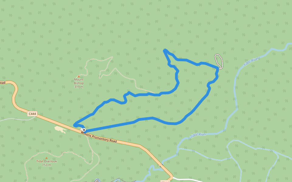 Lilly Pilly Gully Circuit