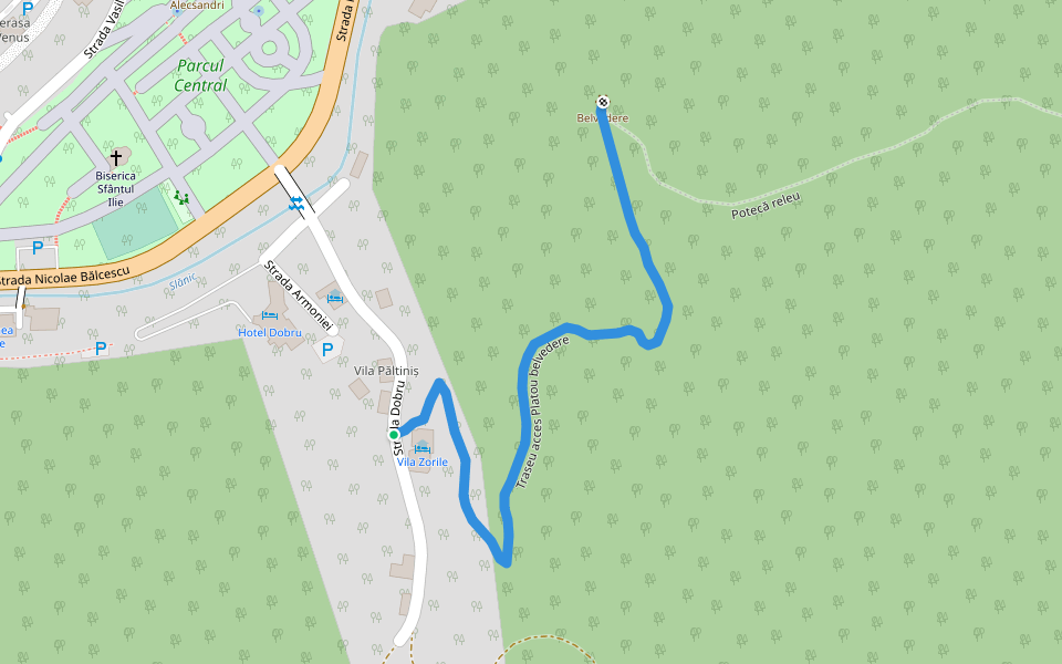 Slănic Molvova - Platoul de sub Vf. Cerbu walking route map in Slănic Moldova