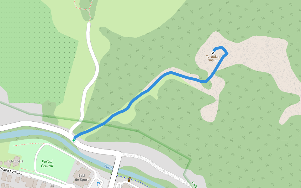 Brezoi - Vf. Țurțudan walking route map in Brezoi