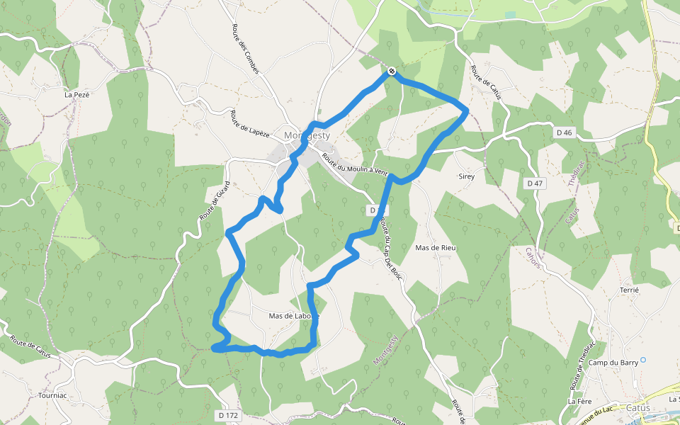 Circuit du menhir walking route map in Montgesty
