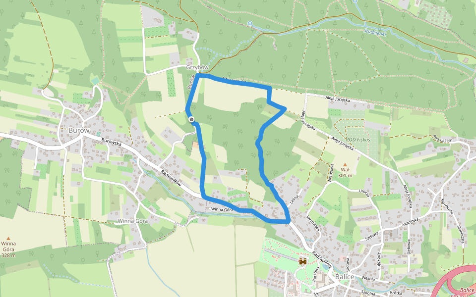 Balickie Doły walking route map in Balice