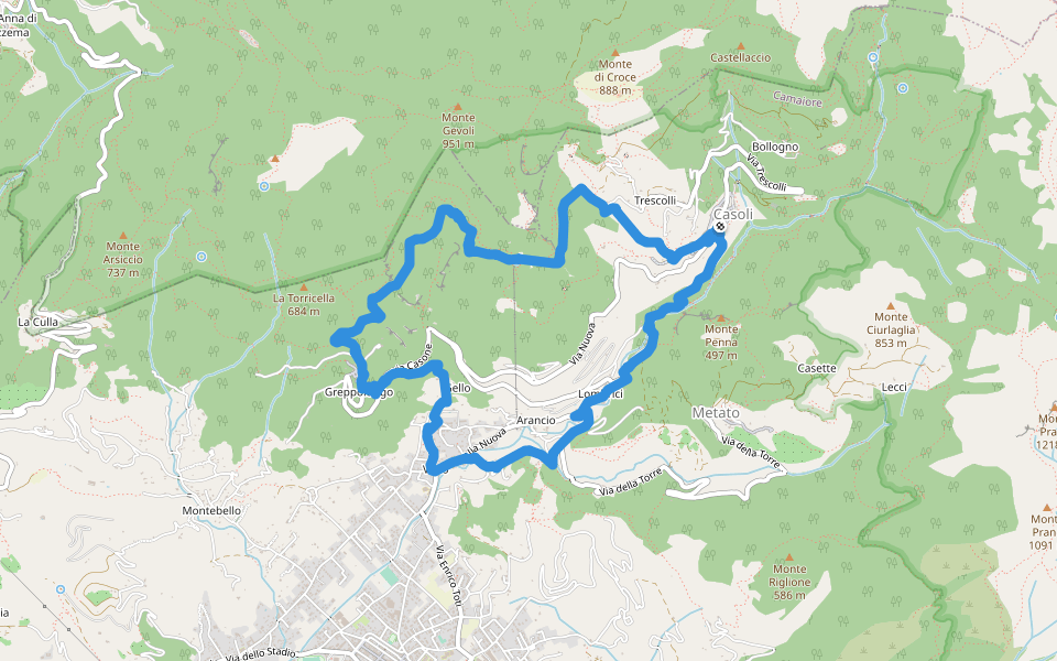 ANELLO 8 - CASOLI - BACINO DI SETRIANA - GREPPOLUNGO - CASOLI walking route map in Casoli