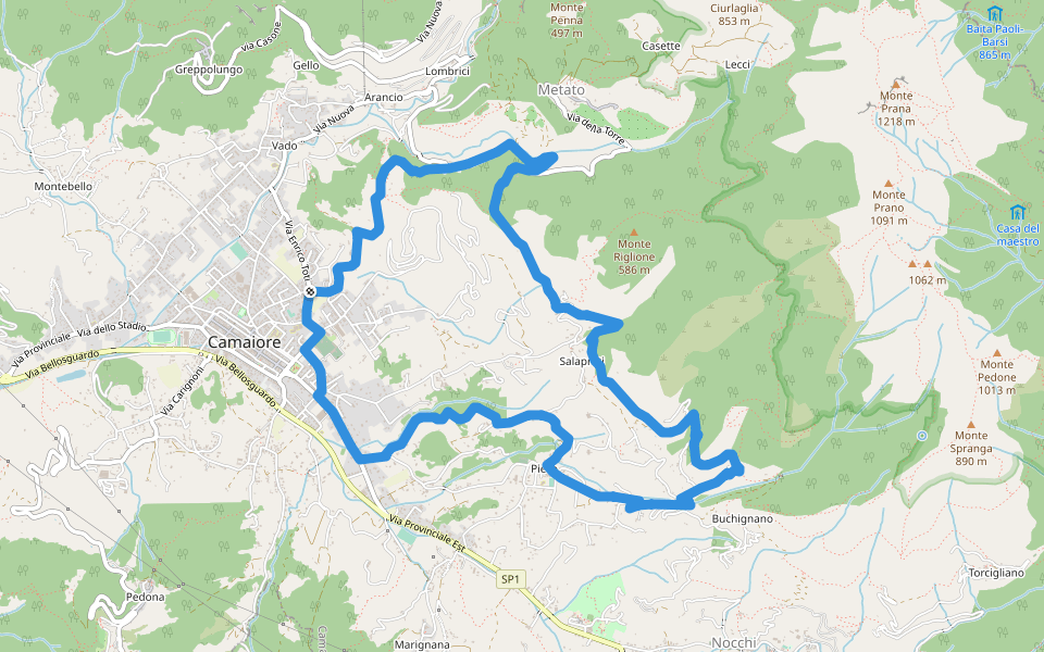 ANELLO 9 - BADIA DI CAMAIORE - PERALLA - PIEVE - BADIA DI CAMAIORE walking route map in Camaiore