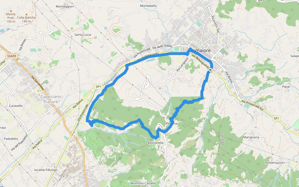 ANELLO 10 - CAMAIORE - PEDONA - CAMAIORE walking route map in Camaiore
