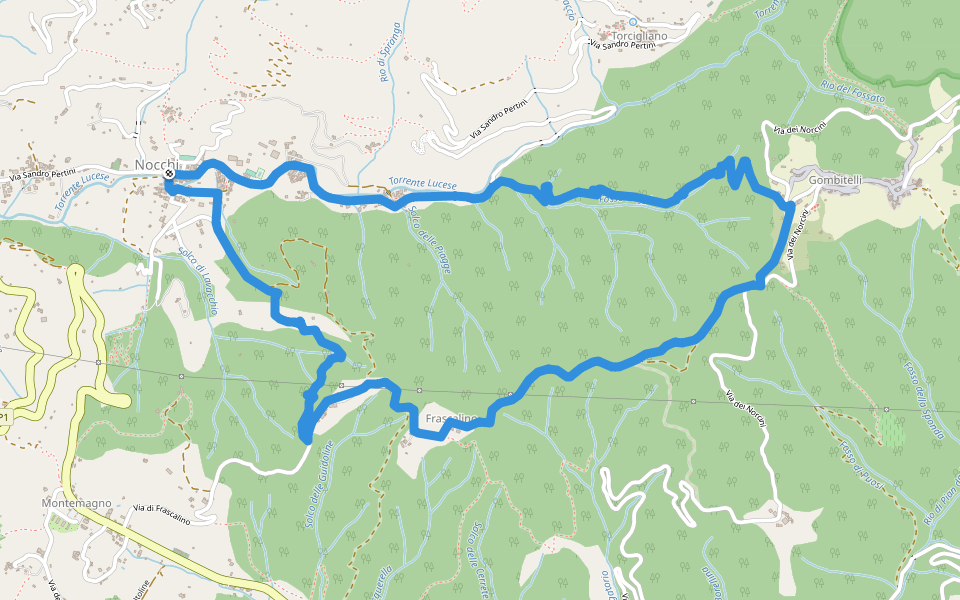 ANELLO 11 - NOCCHI - GOMBITELLI - MONTEMAGNO - NOCCHI walking route map in Nocchi