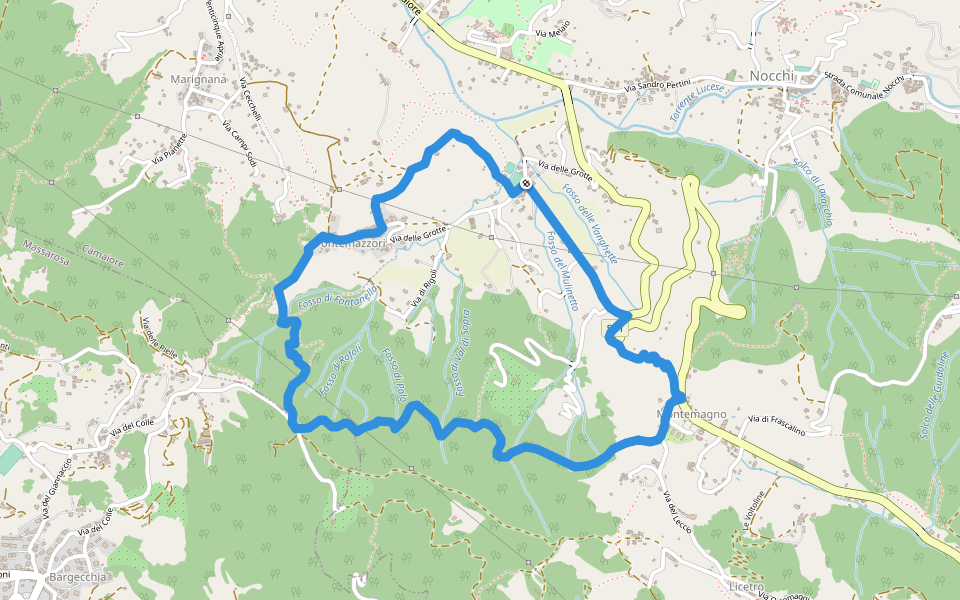 ANELLO 12 - PONTEMAZZORI - MONTEMAGNO - PONTEMAZZORI walking route map in Camaiore