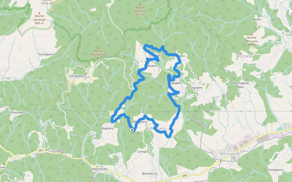 ANELLO 14 - ORBICCIANO - ANTICIANA - FIBBIANO - MIGLIANO - ORBICCIANO walking route map in Orbicciano