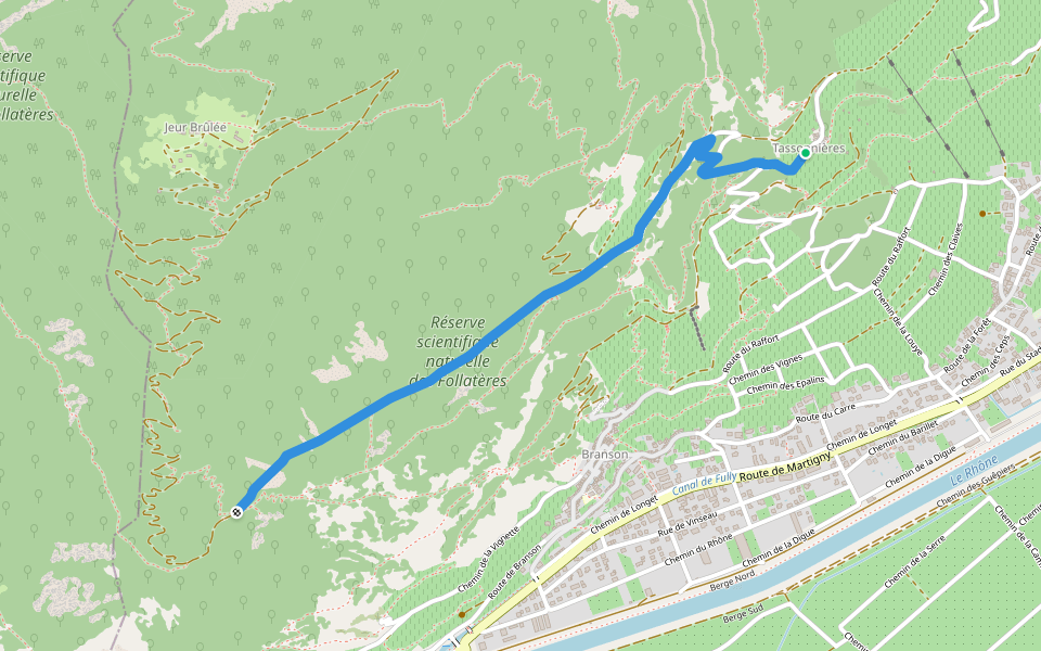 Tassonnières > ? walking route map in Fully