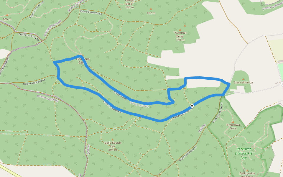 Wilczy Grzbiet walking route map in Mieszków