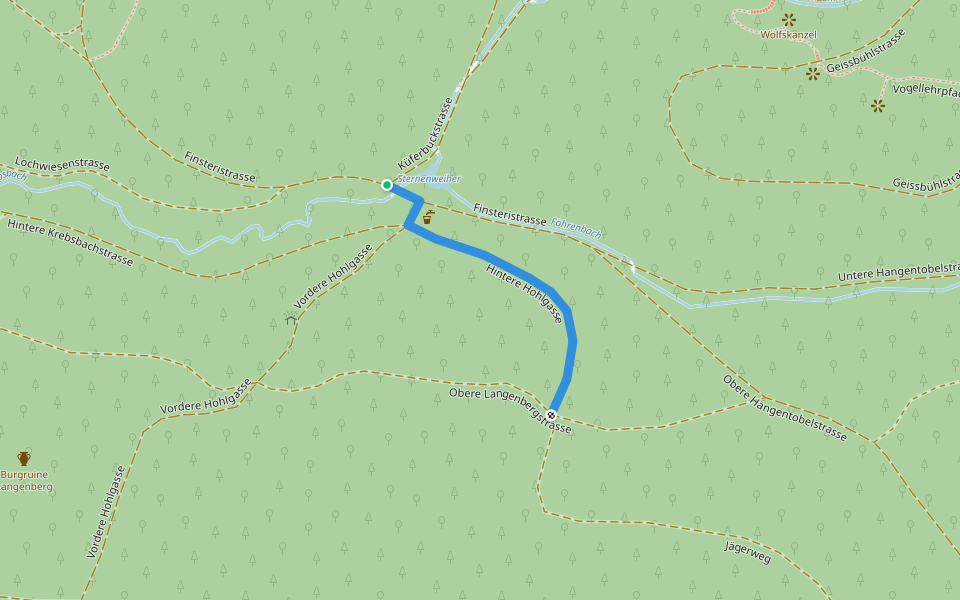 Sternweiher - Gamser