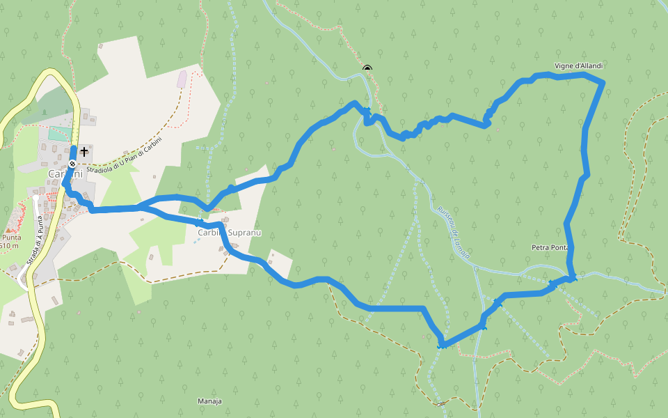 Boucle de Carbini walking route map in Carbini