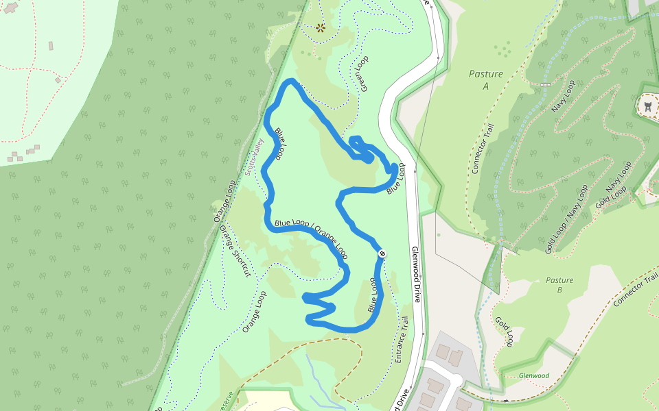 Blue Loop