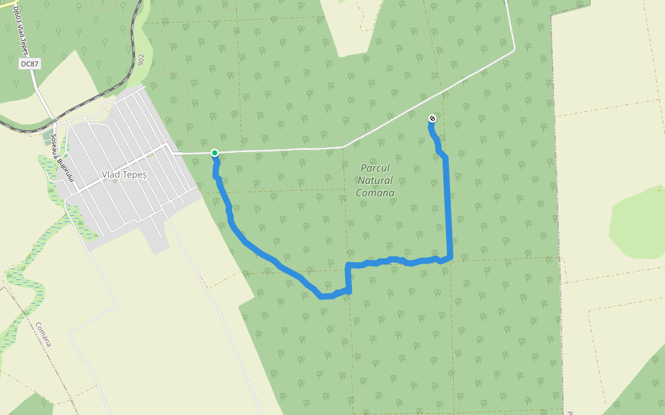 Traseu turistic "Rezervatia de bujor" walking route map in Vlad Țepeș