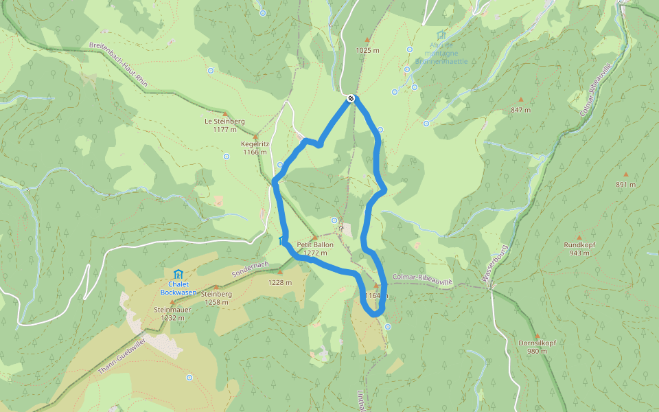 Circuit du Petit Ballon Anneau jaune walking route map in Wasserbourg