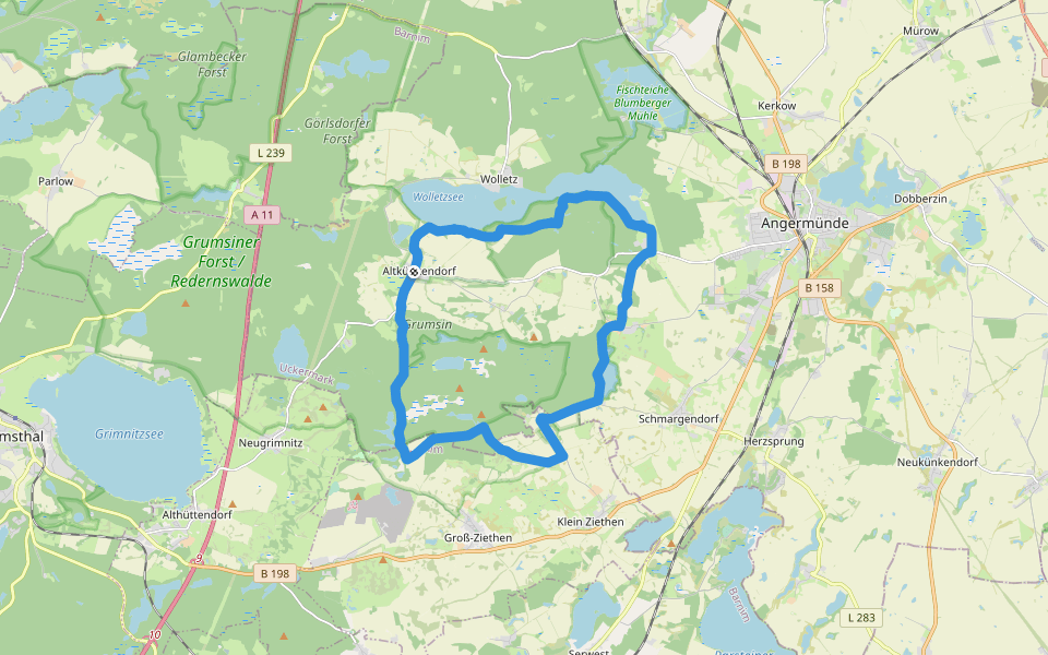 Rotes Buchenblatt walking route map in Angermünde