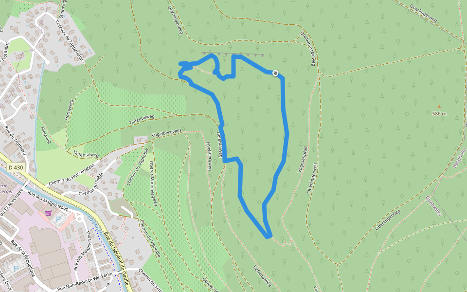 Circuit of Guebwiller Red ring Hiking Trail Grand Est Pacer