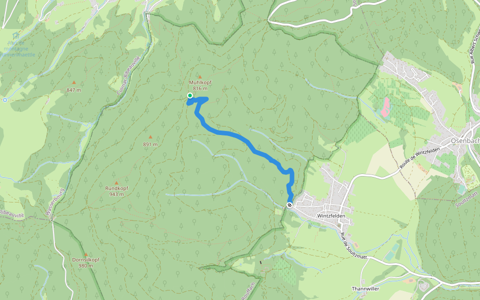 Wintzfelden - col du Hirzenstein Disque jaune walking route map in Rouffach