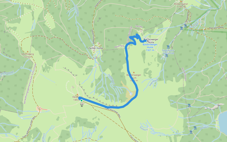 Am Feldberggipfel - Baldenweger Hütte