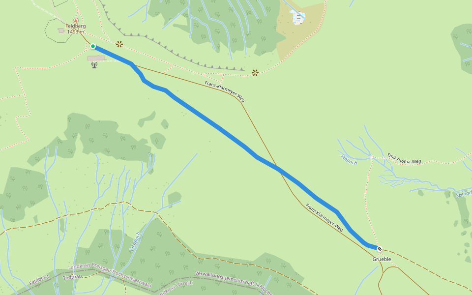 Am Feldberggipfel - Grüblesattel