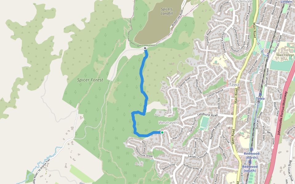 Te Ngahere-O-Tawa Track