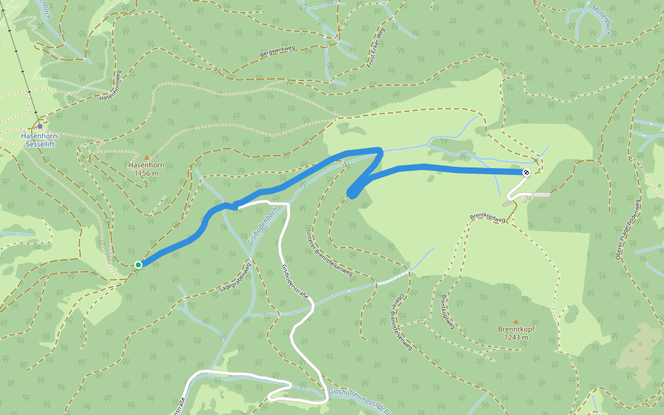 Bei der Schlechtnauerhöhe - Mauswinkel walking route map in Todtnau