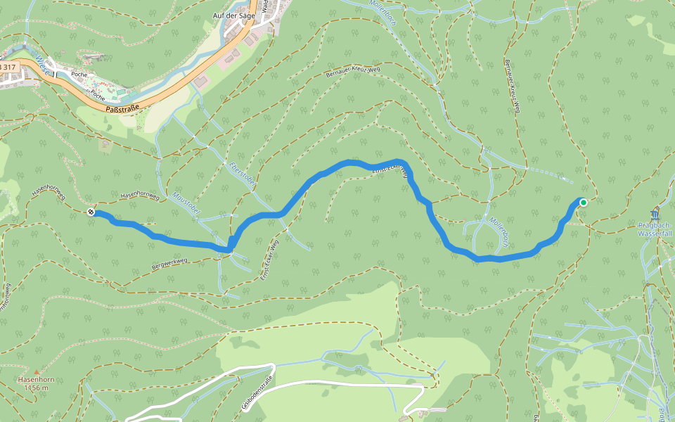 Bernauer Kreuz Weg - Mausboden walking route map in Todtnau