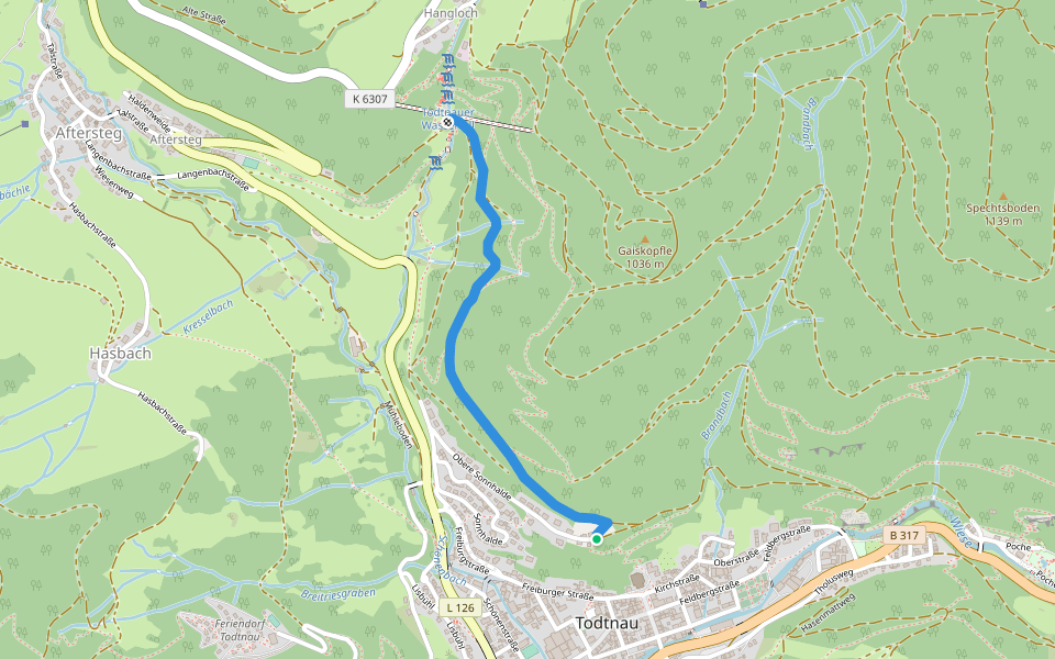 Todtnau Hohweg - Todtnauer Wasserfall walking route map in Todtnau