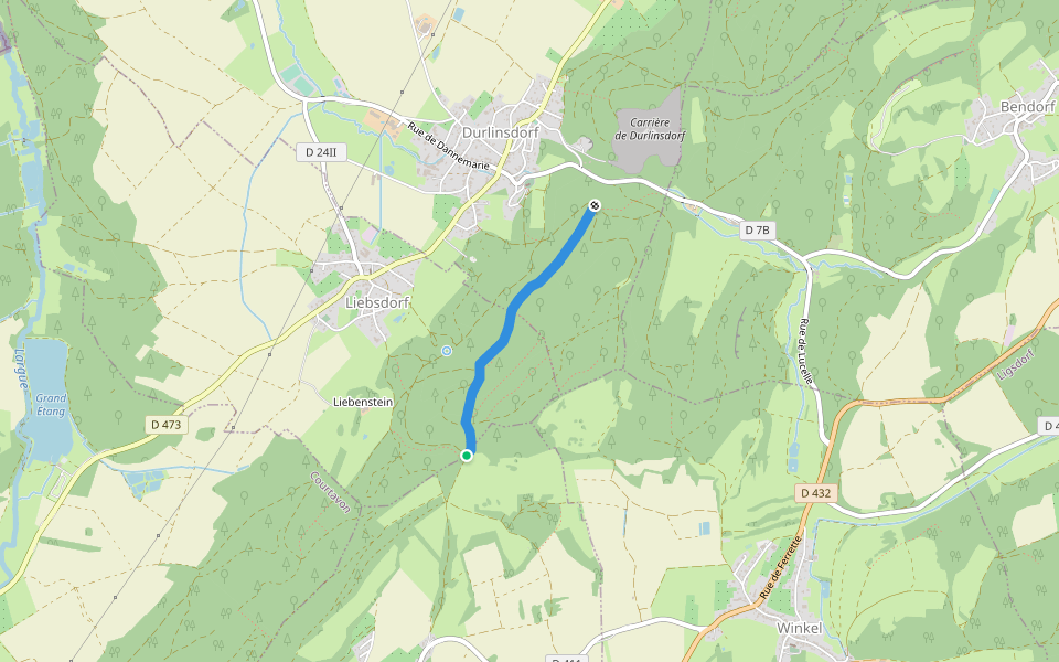 Vosges - Yellow Rectangle, Liebsdorf walking route map in Oberlarg