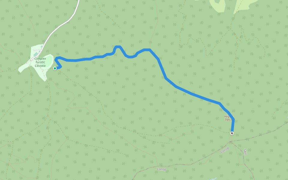 Căsoaia – Dealul Dubilor – Vf. Highiș – Creasta Principală walking route map in Arăneag