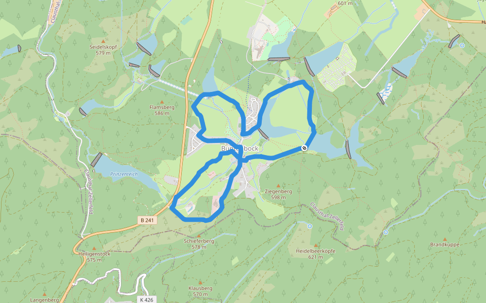 Buntenbocker Bergwiesenweg Hiking Trail ClausthalZellerfeld