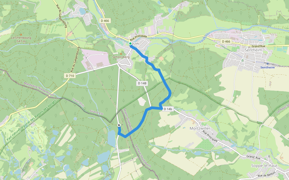 Lauw - Lac de la Seigneurie Triangle jaune walking route map in Lauw
