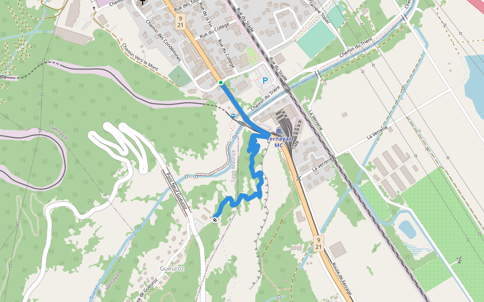 Trail des Flotteurs walking route map in Vernayaz