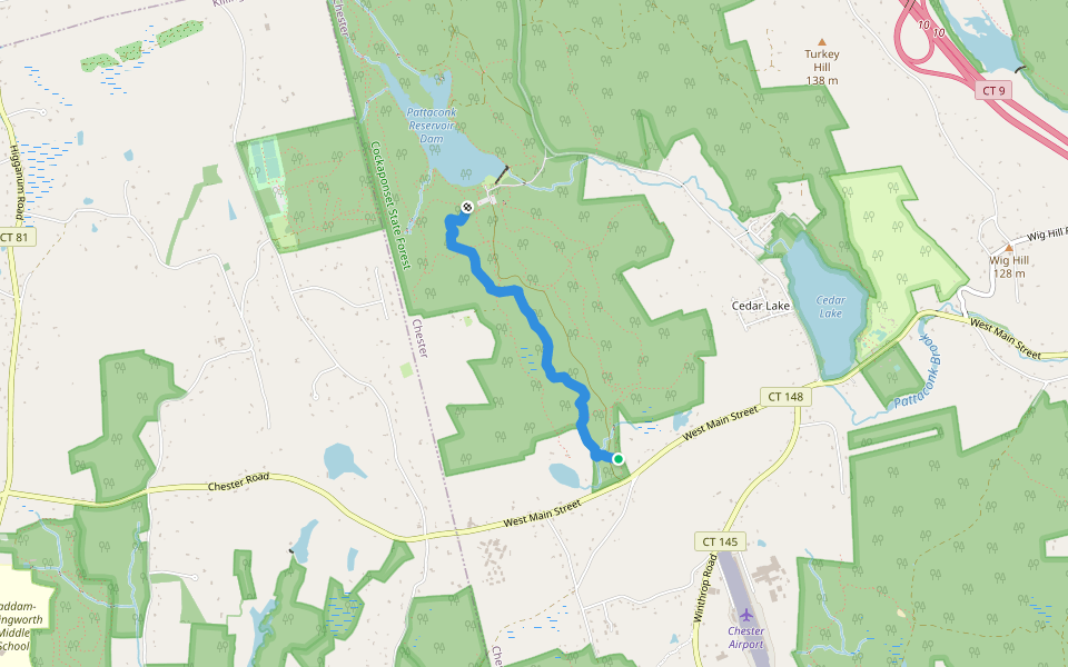 South Pattaconk Trail walking route map in Chester