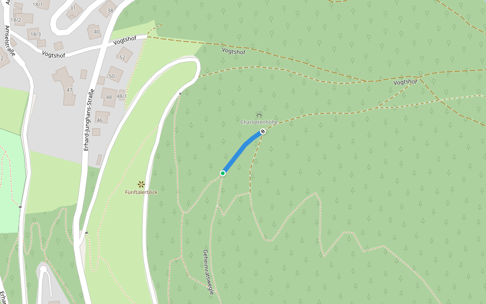 Charlottenhöhe - Charlottenhöhe walking route map in Schramberg