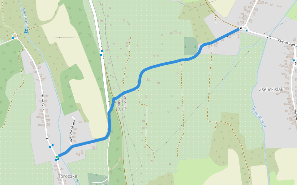 P+ (Töröcske-Zselickislak) walking route map in Kaposvár