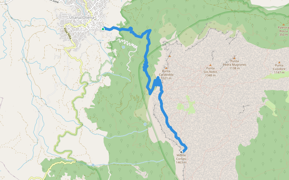 Salita sul Monte Corrasi walking route map in Oliena