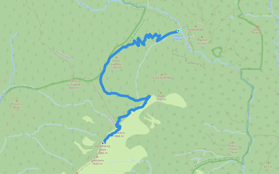 Cabana Cheia - Curmatura Oale - Vf. Vânturarița walking route map in Gurguiata