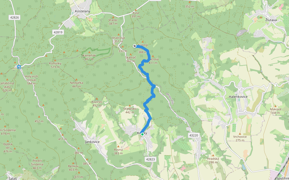 [Ž] Košíky - Budačina odbočka walking route map in Košíky