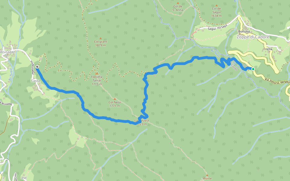 Sentiero C.A.I. 491 walking route map in Forno di Zoldo