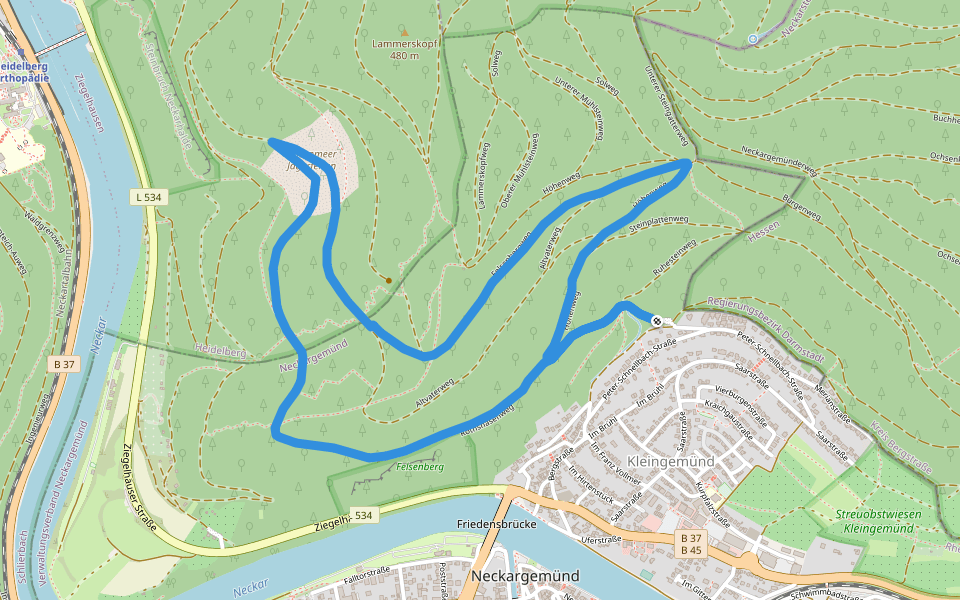Rundwanderweg Büdel-Ebert-Heim 4: Felsenberg-Weg walking route map in Neckargemünd