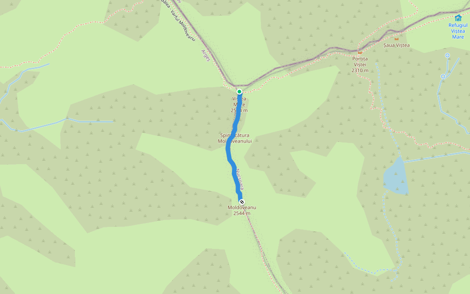 Vf. Viștea Mare - Vf. Moldoveanu