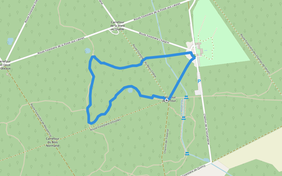 Sénart en quête d'un secret walking route map in Étiolles