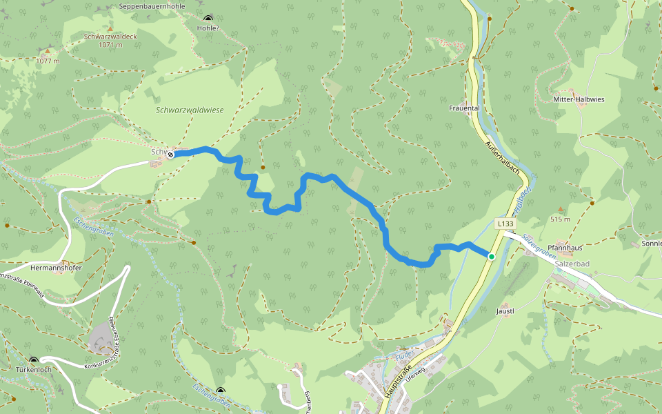 Salzabad (L133) - Schwarzwald walking route map in Kleinzell